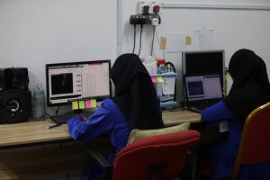 GEOGRAPHICAL INFORMATION SYSTEM (GIS)